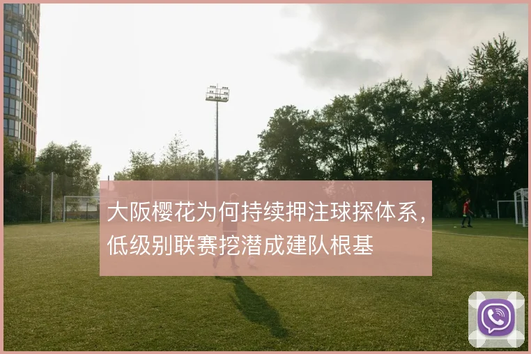 大阪樱花为何持续押注球探体系，低级别联赛挖潜成建队根基