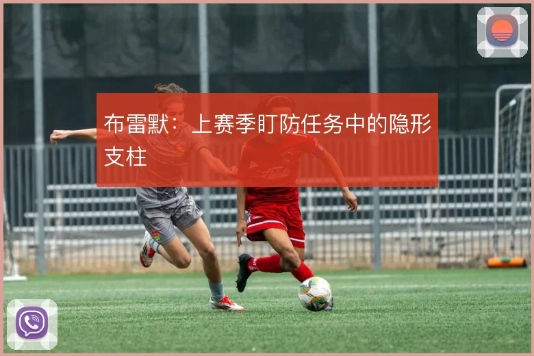 布雷默：上赛季盯防任务中的隐形支柱