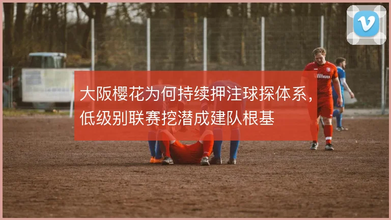 大阪樱花为何持续押注球探体系，低级别联赛挖潜成建队根基